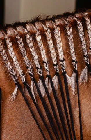 Braid Like a Pro with Ruthann