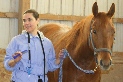 Sound Horsemanship Clinic APRIL 11 - Lucky Braids